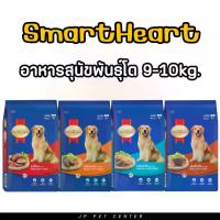 ราคา SmartHeart อาหารสุนัข สมาร์ทฮาร์ท สุนัขโต ขนาด9-10Kg. (1734017711195260169)
