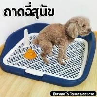 ราคา ห้องน้ำหมา สุนัข แบบขอบสูง ถาดฉี่สุนัข (มีเสาถอดได้) มีตะแกรงรองถาด ทำความสะอาดง่าย ถาดรองฉี่สุนัข กระบะทรายแมว 【ฝึกสุนัขให้เข้าห้องน้ำในที่ที่กำหนด】 (1729621351991052913)