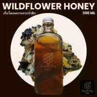 ราคา COD น้ำผึ้งป่า แท้ 100% Raw Wildflower Honey หอมดอกไม้ป่าฟุ้งๆไม่ติดเปรี้ยว/น้ำผึ้งเก่า น้ำผึ้งแท้ by Honey Of Honey (1733760057581799408)