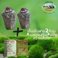ราคา เชื้อเห็ดฟาง ชุดละ 180 บาท เห็ดฟาง2ก้อน +อาหารเสริม+แป้งสร้างเส้นใย (1729591998830709587)