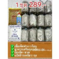 ราคา เชื้อเห็ดฟาง12ก้อน+อาหารเสริม+แป้งข้าวเหนียว+บิ๊กเห็ด (1731210949652678306)