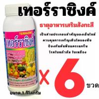 ราคา ( 6 ขวด )เทอราซิงค์ ขนาด 1 ลิตร อาหารเสริม ธาตุอาหารรอง ช่วยการขาดธาตุสังกะสี ป้องกัน ใบเหลืองต้นแคระ เพิ่มสารอาหาร แร่ธาตุซิงค์ เทอร์ราซิงค์ ซิงค์ Zinc สังกะสี ธาตุอาหารเสริม (1732971927703880999)