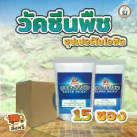 ราคา พิเศษโปร15ซอง ป้องกันโรคพืช ไคโตซานเข้มข้น โรคพืช โรคกุ้งแห้ง โรครากเน่าโคนเน่า ราน้ำค้าง โรคพริก ปุ๋ย รุ่งอรุณ (1733164301275530755)