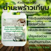 ราคา น้ำมะพร้าวเทียม ขนาด 5 ลิตร หัวเชื้อ จุลินทรีย์ ทดแทน น้ำมะพร้าว ต่อเชื้อ แตกยอด เปิดตาดอก ใบ งาม ปุ๋ย ปุ๋ยน้ำ ชีวภาพ (1733898444143822822)