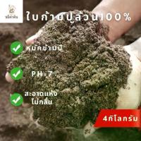 ราคา [จัดส่งทันที] ใบก้ามปูหมักล้วน 100% ร่อนละเอียด ไม่ผสมดินหรือปุ๋ยใดๆ ขนาด 4kg ดินปลูกต้นไม้ ดินปลูกบอนสี ดินปลูกแคคตัส ดินปลูกผัก ไม้ประดับ ปุ๋ย (1734302514256971731)