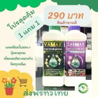 ราคา ชุด 1 แถม 1 (ปุ๋ยธาตุรวม VAMAX + CABMAX แคลเซียมโบรอน) ปลอดภัยขึ้นทะเบียนจากกรมวิชาการเกษตรอย่างถูกต้อง สินค้าขายดี ปุ๋ย ทาง ใบ ปูน ตราเสือ 50 กิโล (1732977836502321141)
