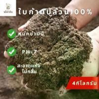 ราคา [พร้อมส่ง] ใบก้ามปูหมักล้วน 100% ร่อนละเอียด ไม่ผสมดินหรือปุ๋ยใดๆ ขนาด 4kg ดินปลูกต้นไม้ ดินปลูกบอนสี ดินปลูกแคคตัส ดินปลูกผัก ไม้ประดับ ปุ๋ย (1734038826929193993)