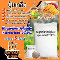 ราคา แม่ปุ๋ยเกล็ด ปุ๋ยแมกนีเซี่ยมซัลเฟต เฮปตะไฮเดรต Magnesium Sulphate Heptahydrate แพ็ค 5 กิโลกรัม ดีเกลือฝรั่ง ปุ๋ย (1734449383807420163)