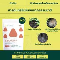 ราคา เอสวี กรดฮิวมิคผสมไตรโคเดอร์มา ปรับโครงสร้างดิน ฟื้นฟูระบบราก ป้องกันโรครากเน่าโคนเน่า ขนาด 1 กก. คําแนะนําผลิตภัณฑ์ใหม่ของเดือนนี้ ปุ๋ย ทํา บั้งไฟ 13 0 46 ปลูก ผักสวนครัว ส่ง ฟรี (1732960433658431319