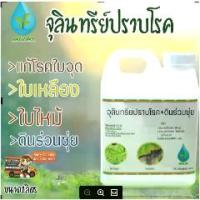 ราคา ปุ๋ย ปุ๋ยชีวภาพแก้โรคใบจุด ใบด่าง ใบเหลือง ใบไหม้ ปลอดภัย (1733732239998879616)
