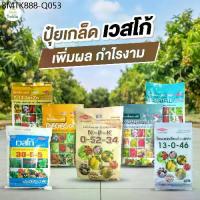 ราคา ปุ๋ยเกล็ด เวสโก้ ปุ๋ย 8 24 24 ปุ๋ย 0 52 34 ปุ๋ย 7 13 34 ปุ๋ย 21 21 21 เร่งใบ เร่งดอก ทำหวาน ปุ๋ยเคมี ยูเรีย ปุ๋ยสูตรเสมอ (1734190126334379988)