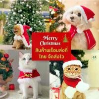 ราคา Discount ชุดซานต้าคลอส สำหรับสุนัขและแมว เสื้อหมา เสื้อแมว ซานต้าหมา ซานต้าแมว ชุดคริสต์มาสหมาแมว ผ้าคลุมซานต้า หมวกซานต้า ผ้าพันคอซานต้า การเพาะเลี้ยงสัตว์น้ำ (1732709794540193448)