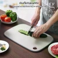 ราคา เขียงพลาสติก เขียง เขียงรองหั่น แผ่นรองหั่น หั่นได้อเนกประสงค์ ไม่เกิดเชื้อรา ที่หั่นผัก (1729600560981838592)