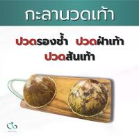 ราคา พร้อมส่ง. PAYI HEALTH CARE แท้ 100% กะลาเหยียบเพื่อสุขภาพเท้า (1732876346158122656)