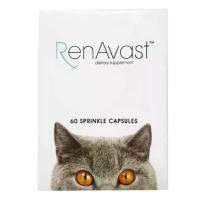 ราคา Renavast dietary supplementอาหารเสริมบำรุงไตสำหรับแมว ขายดี (1733942887299123164)