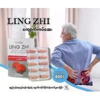 ราคา เห็ดหลินจือสกัด ชนิดแคปซูล ตรา กิฟฟา รีน Ling Zhi Extract Capsule ကျောက်ကပ်ဆေး (1731291000725275854)