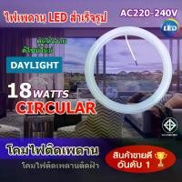 ราคา CODCTL Magnet T9 หลอดนีออนกลม LED T9 24W ขั้ว G10q ใช้ทดแทนหลอดไฟ Circular Fluorescent Standard 32WTikTok (1732086972563031349)
