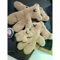 ราคา จี้หมีตุ๊กตาหมี, สไตล์เดียวกันโดย Xiaohongshu, ตุ๊กตาคู่รัก, พวงกุญแจ, ปี 2024, แพ็คเกจ (1730579457245612337)