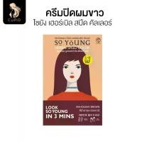 ราคา So Young Brown 30 G. White Hair Covering Cream Soyang Herbal Speed Color (1733480023648536542)