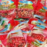 ราคา องุ่นแดงไร้เมล็ด ออสเตรเลีย (1กิโล) Premium Red Grape (Australia) ~ลดพิเศษ~ ก้านเขียว (องุ่นไร้เม็ด องุ่นนอก องุ่นสด) คําแนะนําผลิตภัณฑ์ใหม่ของเดือนนี้ (1734660807663060750)