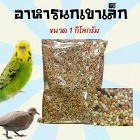 ราคา จัดส่งเฉพาะจุด อาหารนก ขนมนก อาหารนกเขาเล็ก อาหารเขาเล็ก อาหารนกหงส์หยก มิลเลต3สี อาหารนกเขาชวา ธัญพืชสำหรับ นก ขนาด 1 กิโลกรัม (1733817580263933011)