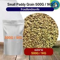ราคา ☛ข้าวเปลือกเม็ดมะเขือ อาหารนก อาหารสัตว์ ธัญพืชสำหรับนก (แบ่งขาย 500G / 1KG)☞ (1734506248230896667)