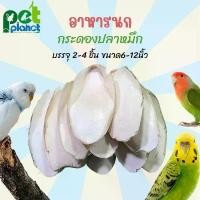 ราคา คลังสินค้า อาหารนก ลิ้นทะเล กระดองปลาหมึก แหล่งแคลเซียมสำหรับนก กระดูกปลาหมึก อาสำหรับนก แคลเซียมนก (1733753080398972120)