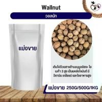 ราคา จัดส่งถึงบ้าน WallNut วอลนัท อาหารนก กระต่าย หนู กระต่าย กระรอก ชูก้า และสัตว์ฟันแทะ (แบ่งขาย 250G / 500G / 1KG) (1733430848430835639)