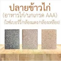 ราคา ชำระเงินสด ปลายข้าวไก่ ปลายไรซ์เบอร์รี่ ปลายข้าวกล้อง อาหารไก่ อาหารนก ปลายข้าว อาหารปลา ปลายกล้องรวม ปลายข้าวเลี้ยงไก่ ปลายข้าวนกอาหารสัตว์ (1733274676490307078)