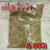 ราคา ยี่หร่า 1 กิโลกรัม (Cumin 1 Kg) เมล็ดยี่หร่า เทียนขาว ยี่หระ เครื่องเทศ เครื่องแกงกะหรี่ เครื่องมัสมั่น (1734288087034594887)