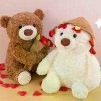 ราคา ตุ๊กตาผ้า โรแมนติก ตุ๊กตาหมีกุหลาบ การ์ตูน ถอดออกได้ ตุ๊กตาหมีถือดอกไม้ ผ้าห่มลายดอกไม้ ตุ๊กตาหมีช่อดอกไม้ วันเกิด (1734369010807506412)