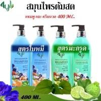 ราคา [400มล.] แชมพู+ครีมนวด แชมพูสมุนไพร4YL บำรุง ผม (1729606856875673926)