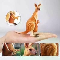 ราคา ประติมากรรม พีวีซี โมเดลสัตว์ป่าจำลอง ทำมือ รูปปั้น ฟิกเกอร์แอคชั่นจิงโจ้ การ์ตูน งานฝีมือ ฟิกเกอร์จิงโจ้จำลอง ของเล่นเด็ก (1733557472110544806)