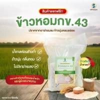ราคา สินค้าแนะนำ บล็อกบัสเตอร์ (ไม่จำหน่าย-ของแถม) ข้าวสารหอมมะลิแท้ 100% ขนาด 0.5 กิโลกรัม ซอส หอยนางรมตรา นก ขั้วโลก สาม สี ข้าวหอมมะลิ ตรา ครอบครัว หอม มะลิ แท้ พริก ไทย ป่น (1734059148694619470)