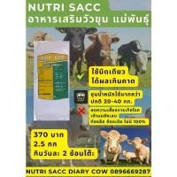 ราคา ♠อาหารเสริมชีวภาพ สำหรับ วัวขุน วัวนม Nutrisacc Diary แข็งเเรง โตไว น้ำนมดี ลดความเสี่ยงการเกิดโรค♝ (1733555223295853787)