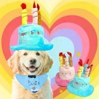 ราคา Cat and Dog Diary ใหม่ ธีมวันเกิด หมวกตุ๊กตาสุนัข รูปทรงเค้ก ฟ้าชมพู หมวกเค้กวันเกิด น่ารัก หมวกลูกสุนัขและลูกแมว ของตกแต่งงานปาร์ตี้ (1734339595255383388)