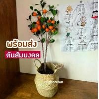 ราคา พร้อมส่ง❤️ ต้นเลมอน (พร้อมกระถาง) ต้นไม้ประดิษฐ์ ต้นส้ม ต้นไม้ปลอม ของแต่งบ้าน ต้นไม้มงคล ส้มจี้ด (1733435454142973717)