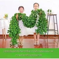 ราคา ของแต่งบ้าน เถาวัลย์เทียม 1 เมตร ใบเขียว เถาวัลย์พวงหรีด ต้นไม้เทียม ใบไม้ เถาวัลย์พลาสติก (1733537896713979570)