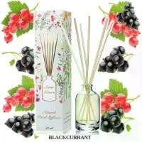 ราคา 【ส่งฟรี】 ก้านไม้หอม 50ml กลิ่น BLACKCURRANT แบลคเคอแรนท์ (1733406929106405342)