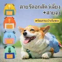 ราคา ชุดสายจูงและสายรัดอกสัตว์เลี้ยงพร้อมกระเป๋าเป้ | สายจูง 1.5m + เป้เล็ก | สำหรับน้องหมาน้องแมวไทย | สายจูงสัตว์เลี้ยง | อุปกรณ์สัตว์เลี้ยง (1732849100273256176)