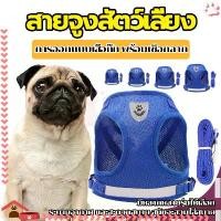 ราคา [ส่งฟรี] สายจูงสุนัข, สายจูงสุนัข, สายจูงแมว, สายจูงกระต่าย, สายจูง, สายจูงสุนัข, สายจูงแมว, สายรัดสุนัข, ปรับได้, นุ่มและระบายอากาศได้, มี 4 ขนาดให้เลือก (1733952331186603100)