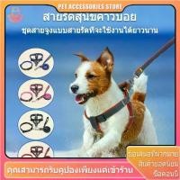ราคา สายจูงสุนัข สายจูงหมา เชือกหมา สายจุงสุนัข สายจูง สายรัดอก รัดอกสุนัข เชือกจูง สุนัขพันธุ์เล็ก-ใหญ่ (1734636017556554903)