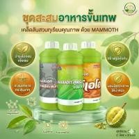 ราคา ชุดสะสมอาหาร ทุเรียน มะม่วง พืชสวน 1 ลิตร 3 ขวด มีแคลแมก จีเอโอ สุพรีม เทพวัฒนา ช่วยสะสมอาหารก่อนดึงดอก เปิดตาดอก (1734503816693908708)