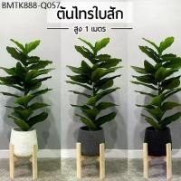 ราคา ต้นไทรใบสัก สูง 1 เมตร ทรงสูง ต้นไม้ปลอม พร้อมกระถางหยดน้ำและหินสีขาวฟรี☘️ (1734455190594225479)