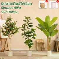 ราคา ♗คุณภาพสูง สไตล์นอร์ดิก ต้นไม้ปลอมต้นไม้มงคล ต้นกล้วย ต้นไม้ปลอมใหญ่ สำหรับตกแต่งบ้านและสวน♦ (1733166017944716517)