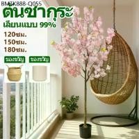 ราคา 50ปีสีไม่ซีดจางต้นซากุระญี่ปุ่น ซากุระสีชมพู 120/150/180cm ต้นไม้ปลอม-ประดิษฐ์ สีสวย ตกแต่บ้านและสวน ห้อง คาเฟ่ (1734432823878976839)