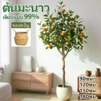 ราคา ฟรี กระถางต้นส้มประดิษฐ์ ความจำลอง99% ต้นไม้มงคลปลอม ผลไม้ปลอม ต้นส้มปลอม 120/150/180CM ต้นไม้ปลอม (1734136372071269939)