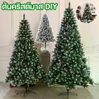 ราคา DIY ต้นคริสต์มาสเทียม 1.2/1.5/1.8/2.1 เมตร ต้นไม้ปลอม ต้นไม้ตกแต่งบ้าน ทนทาน วัสดุ PVC คุณภาพสูง ประกอบง่าย ต้นคริสต์มาส (1732908935590741310)