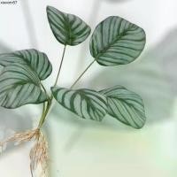 ราคา คลังสินค้า ต้นไม้ปลอม ต้นคล้าขุนแผน ต้นคล้านกยูง มีราก เกรดพรีเมี่ยม เหมือนจริงมาก (1732998468726654038)