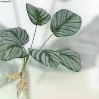 ราคา ขายร้อน ต้นไม้ปลอม ต้นคล้าขุนแผน ต้นคล้านกยูง มีราก เกรดพรีเมี่ยม เหมือนจริงมาก (1733083113632597009)